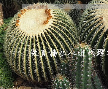 做直播拉人进代理外围群违法吗 做直播拉人进代理外围群违法吗