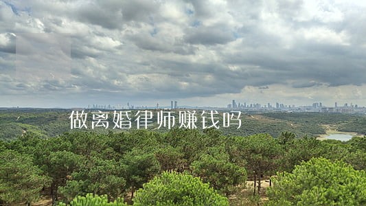 做离婚律师赚钱吗 做离婚律师赚钱吗