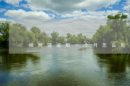 做网贷逾期一个月怎么处理