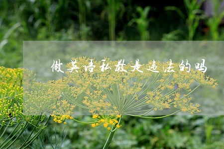 做英语私教是违法的吗 做英语私教是违法的吗