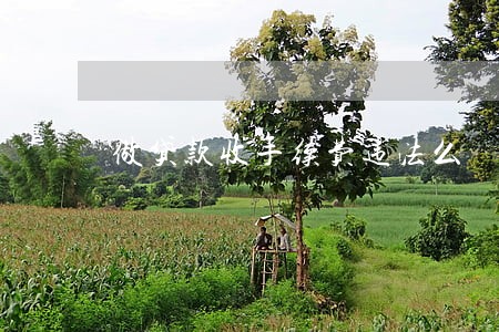 做贷款收手续费违法么 做贷款收手续费违法么
