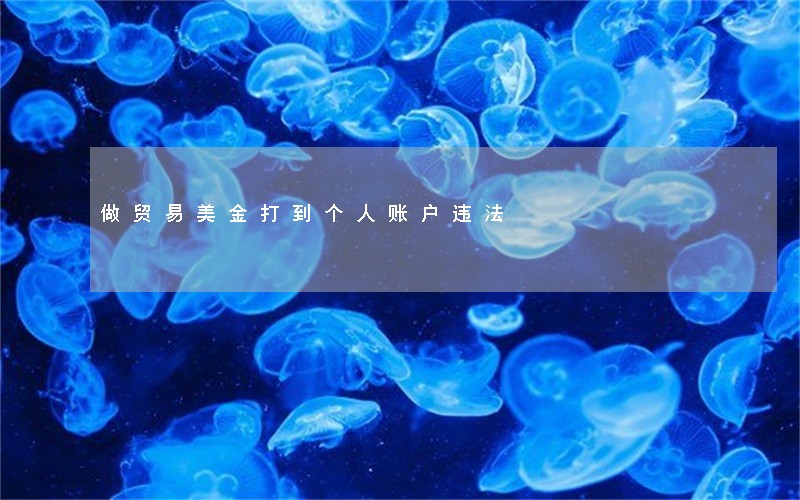 做贸易美金打到个人账户违法 做贸易美金打到个人账户违法