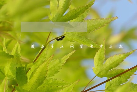 做过多次网贷没有逾期 做过多次网贷没有逾期