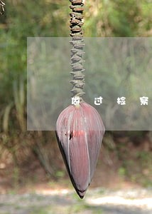 做过检察官的律师有什么优势 做过检察官的律师有什么优势