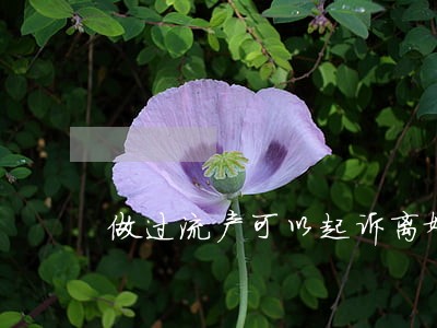 做过流产可以起诉离婚吗 做过流产可以起诉离婚吗