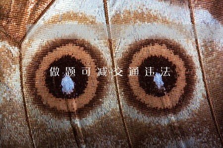 做题可减交通违法