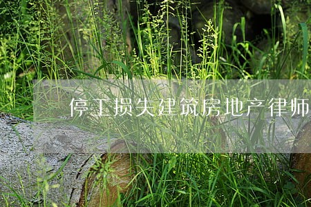 停工损失建筑房地产律师 停工损失建筑房地产律师