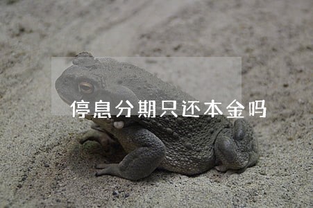 停息分期只还本金吗
