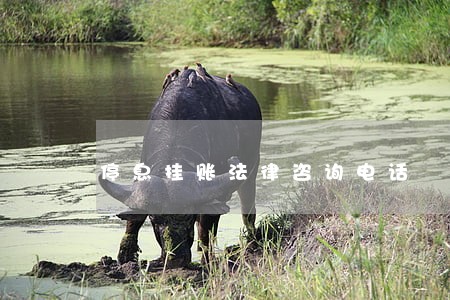 停息挂账法律咨询电话 停息挂账法律咨询电话