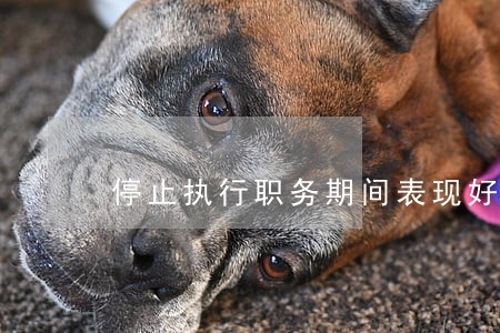 停止执行职务期间表现好的 停止执行职务期间表现好的