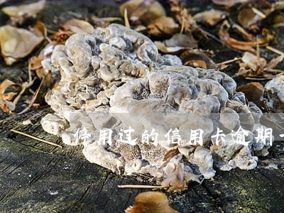 停用过的信用卡逾期一天 停用过的信用卡逾期一天