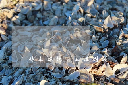 停车场地下车库划线 停车场地下车库划线