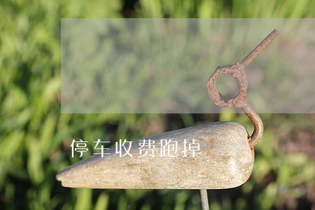 停车收费跑掉 停车收费跑掉