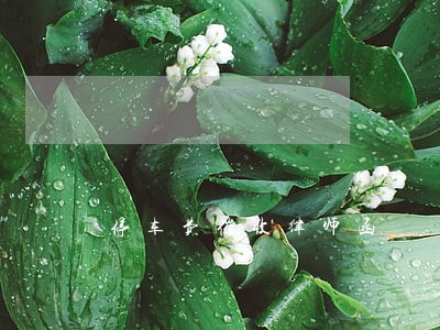 停车费催收律师函