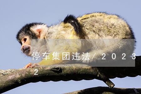 停车集团违法/2023020467892 停车集团违法/2023020467892
