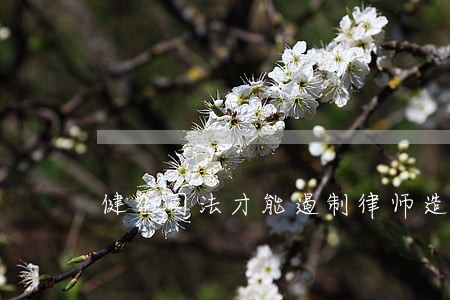 健全司法才能遏制律师造假冲动 健全司法才能遏制律师造假冲动