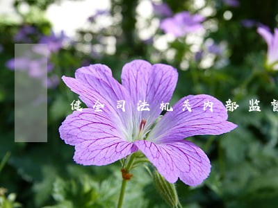 健全司法机关内部监督制约机制