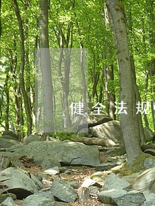 健全法规创新体系 健全法规创新体系