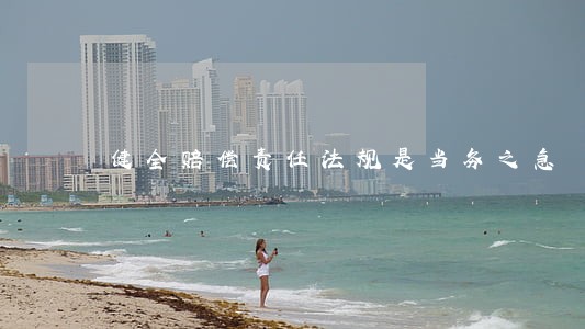 健全赔偿责任法规是当务之急 健全赔偿责任法规是当务之急