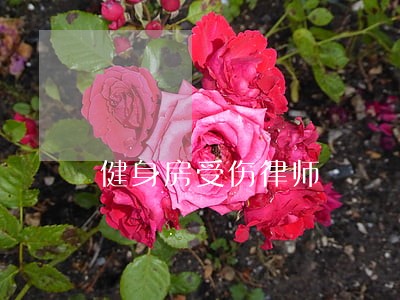 健身房受伤律师 健身房受伤律师