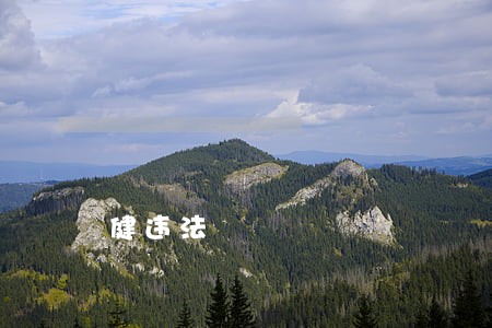 健违法 健违法
