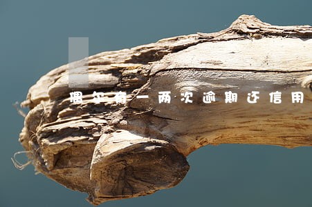 偶尔有一两次逾期还信用卡