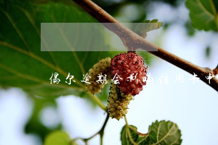 偶尔逾期会影响信用卡申办吗