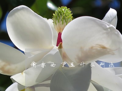 偷东西了是什么刑法 偷东西了是什么刑法