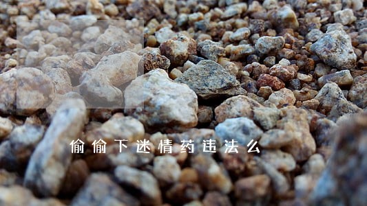 偷偷下迷情药违法么