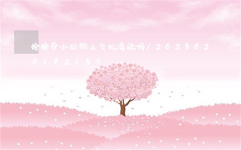 偷偷带小动物上飞机违法吗/2023020172159 偷偷带小动物上飞机违法吗/2023020172159