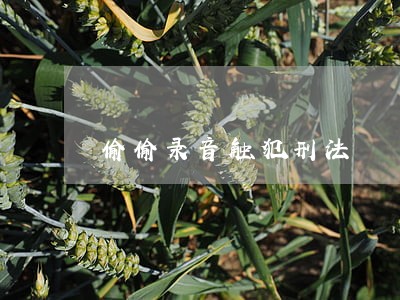 偷偷录音触犯刑法 偷偷录音触犯刑法
