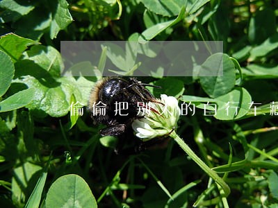 偷偷把别人的自行车藏起来违法吗