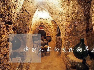偷别人家的宠物狗算违法吗 偷别人家的宠物狗算违法吗