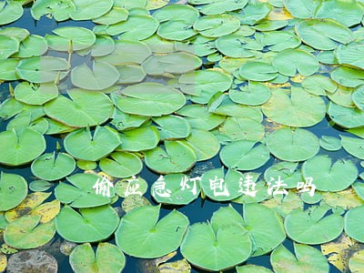 偷应急灯电违法吗 偷应急灯电违法吗