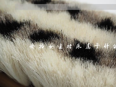 偷拍女生裙底属于什么违法 偷拍女生裙底属于什么违法