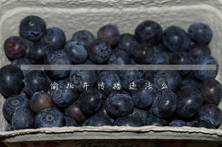 偷拍并传播违法么 偷拍并传播违法么