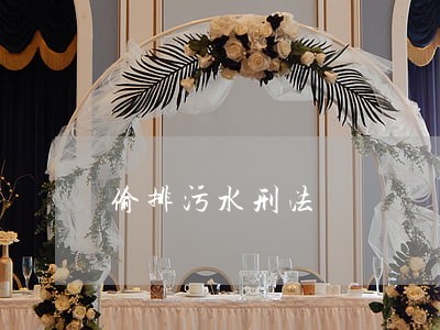 偷排污水刑法