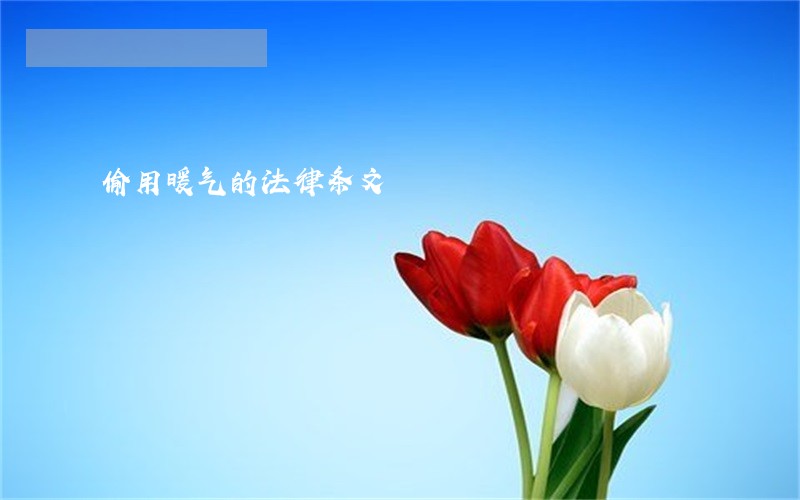 偷用暖气的法律条文 偷用暖气的法律条文