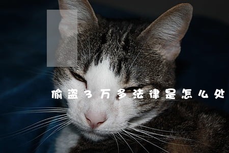 偷盗3万多法律是怎么处罚的 偷盗3万多法律是怎么处罚的