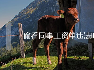 偷看同事工资单违法吗 偷看同事工资单违法吗