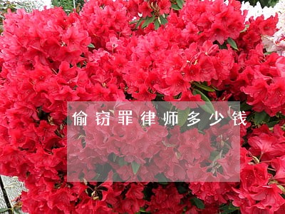 偷窃罪律师多少钱 偷窃罪律师多少钱