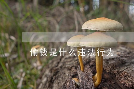 偷钱是什么违法行为 偷钱是什么违法行为
