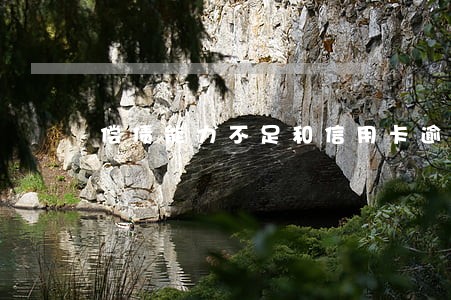 偿债能力不足和信用卡逾期 偿债能力不足和信用卡逾期