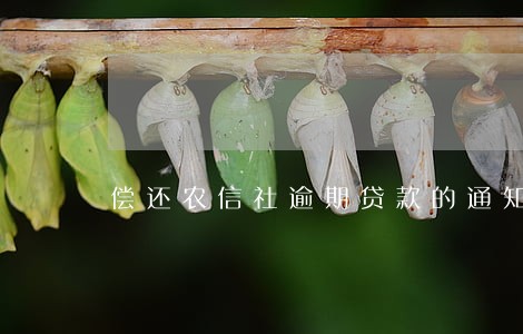 偿还农信社逾期贷款的通知 偿还农信社逾期贷款的通知