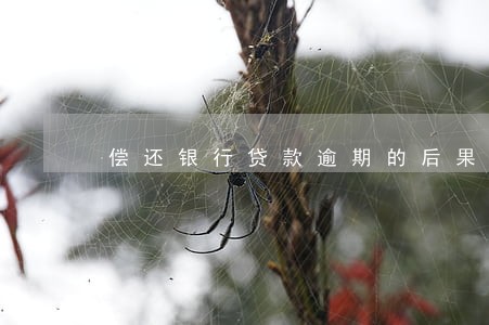 偿还银行贷款逾期的后果 偿还银行贷款逾期的后果