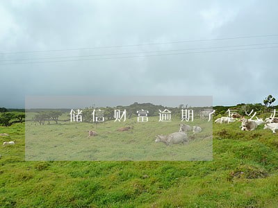 储信财富逾期了怎么办 储信财富逾期了怎么办