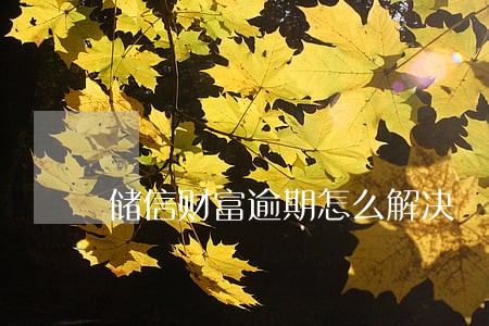 储信财富逾期怎么解决 储信财富逾期怎么解决