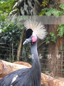 储备粮被法院查封 储备粮被法院查封
