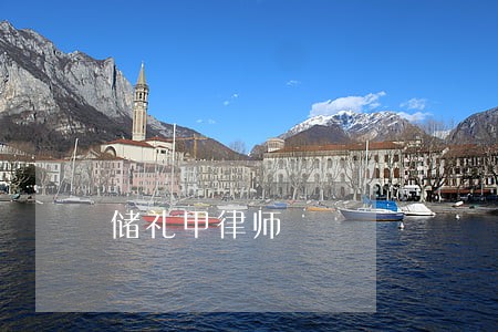 储礼甲律师