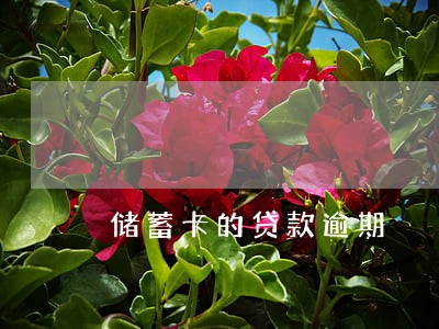 储蓄卡的贷款逾期 储蓄卡的贷款逾期